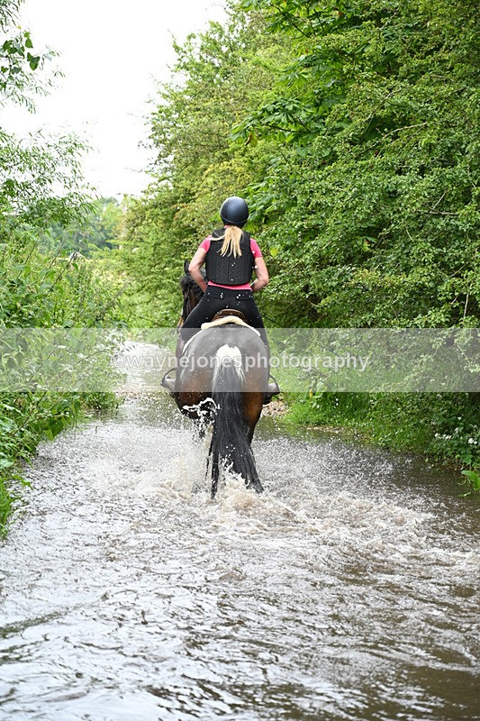 WJ7_2095 - Camera 2 Water Crossing