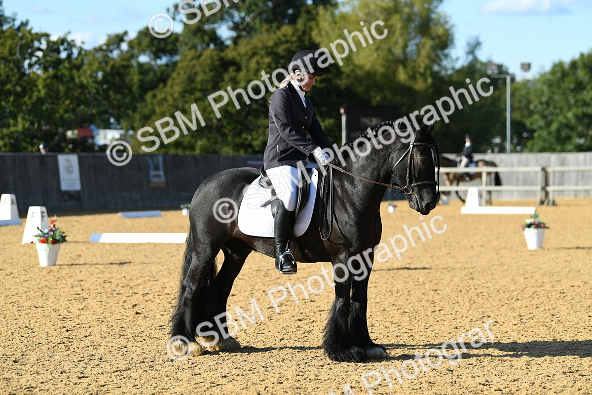 SBM_28475 - D16 - Small Tour Championship - Novice 28