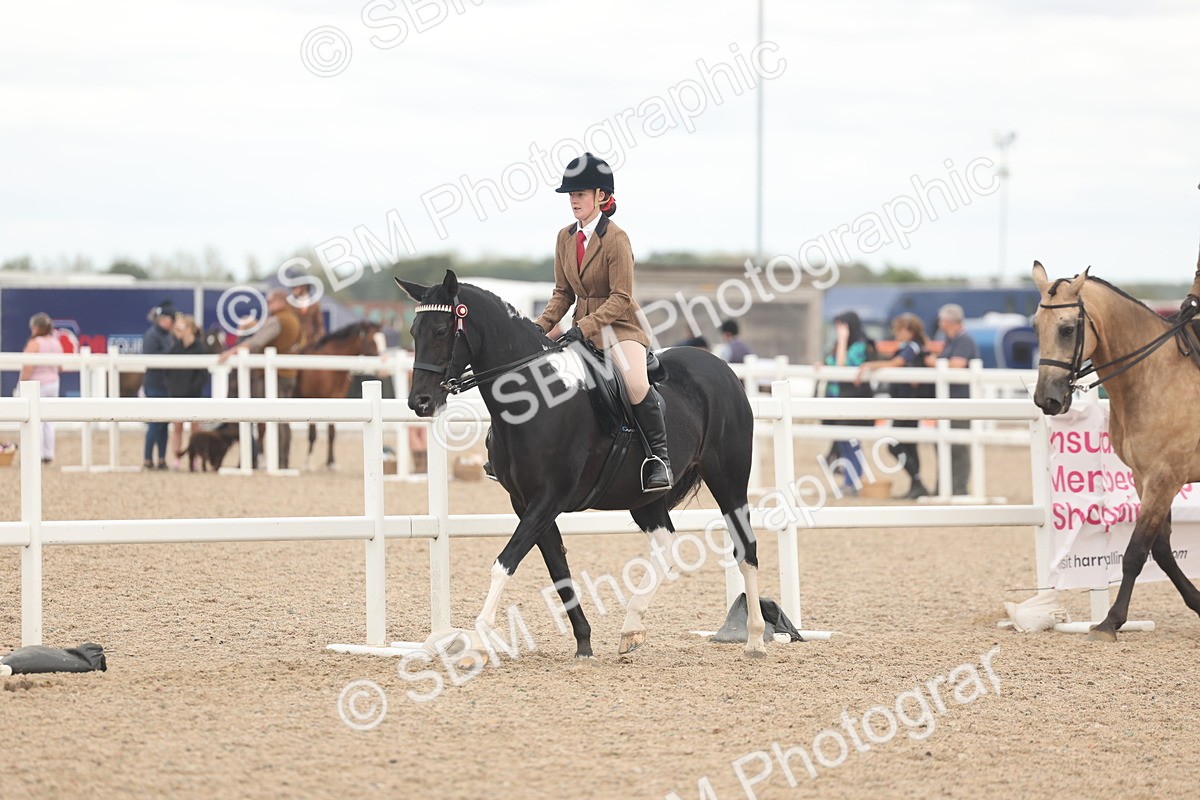 SBM_18151 - Class 315 - Best Horse-Rider Combination