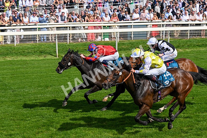 230526-Race 5-Reliable Ricki-0565 - Race 5 15.50pm Reg Bond 'Always And Forever' Handicap