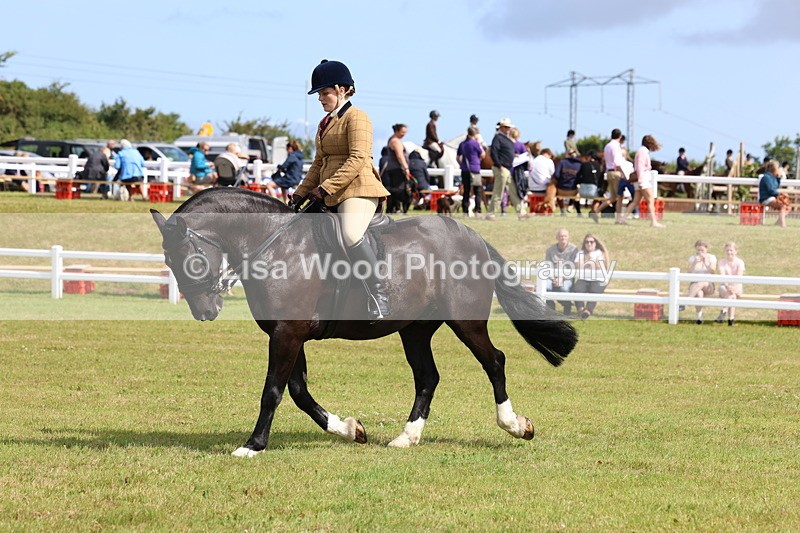 3E7A9819 - Class 5: Rising Star Lightweight/Heavyweight Cobs