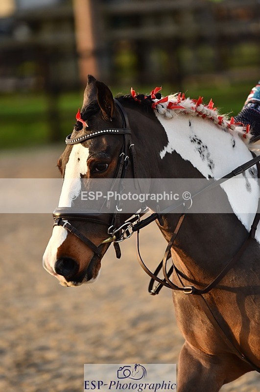 231210-151628-00955 - Cls 6 80cm