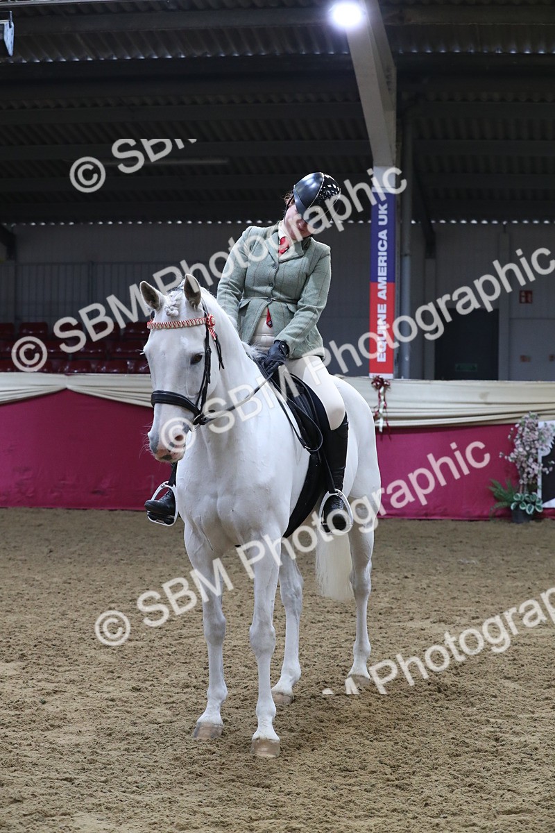 SBM_10462 - Class 102 Equitation (best rider) Adult