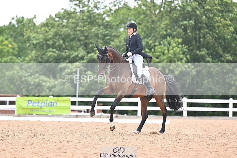 240815A-155524-02494 - 228-Nicola.Rapley-Scolari's.Glory