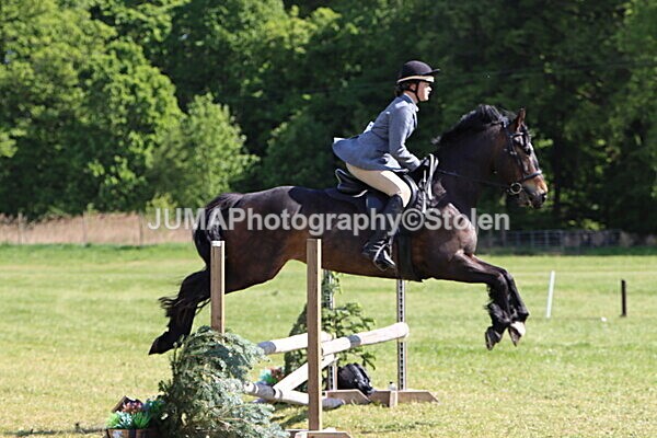 IMG_4521 - Working Hunter