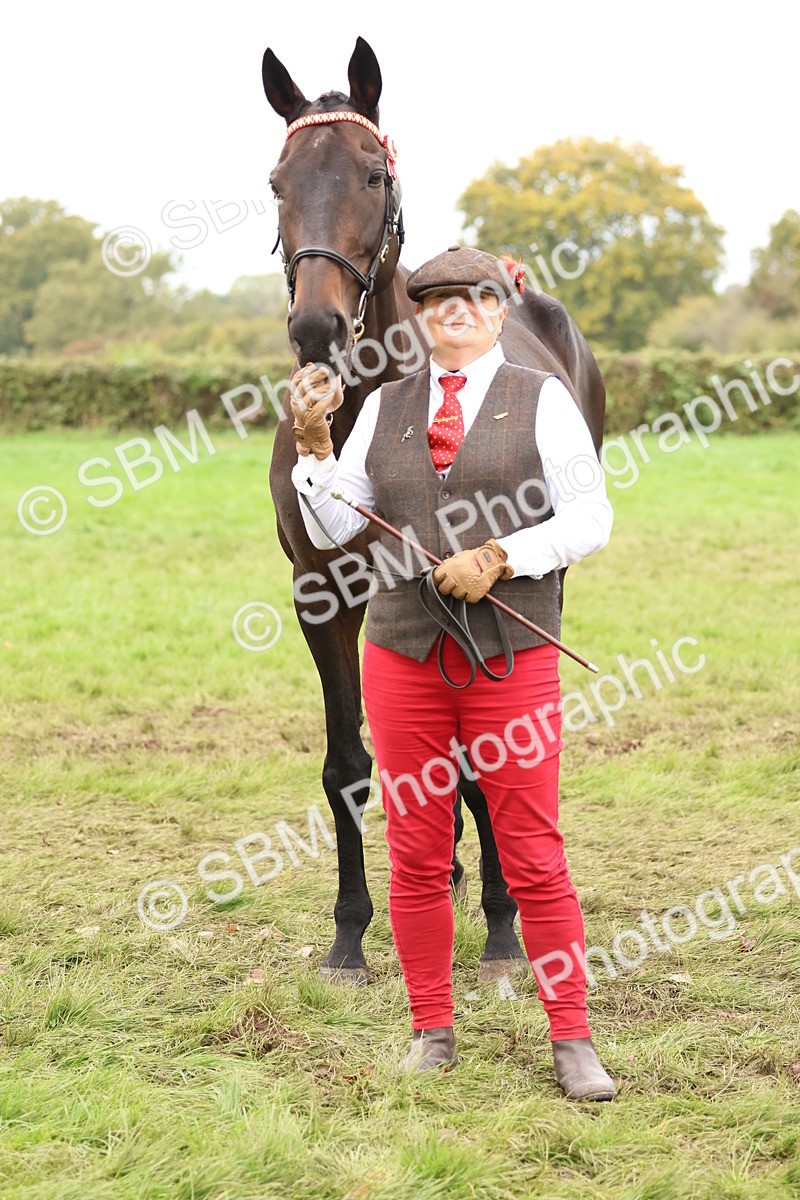 SBM_59920 - S36 - Rehabiliated Rescue Horse & Pony In Hand & Ridden