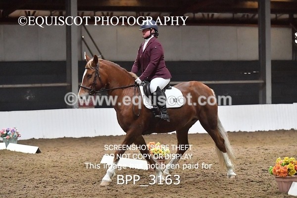 BPP_3163 - INTRO TEST 3