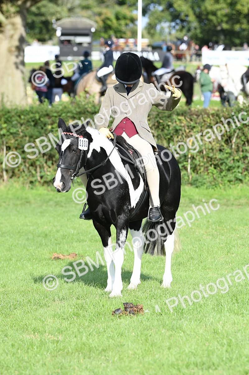SBM_51968 - S21 - Novice & Newcomers 1st Ridden Pony