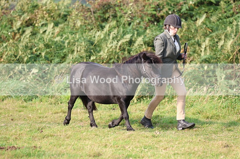 3E7A3180 - Class 12: M & M Small Breeds