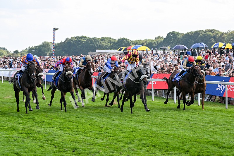 220826-Race 5-Sondad-1083 - Race 5 16.10pm Sky Bet Constantine Handicap