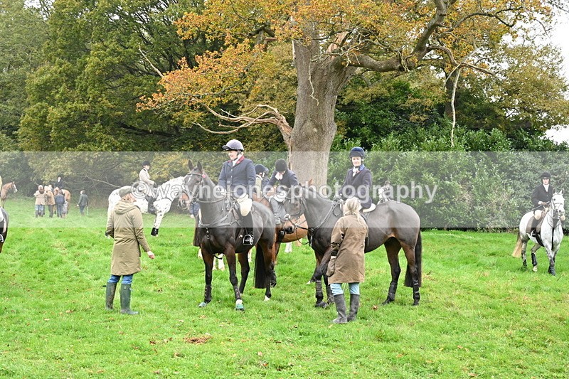 WJ7_7388 - The Meet
