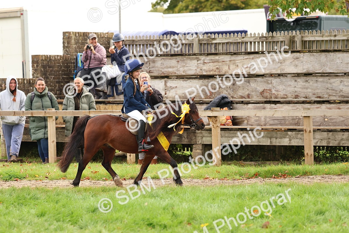 SBM_59781 - Start Supreme Championship