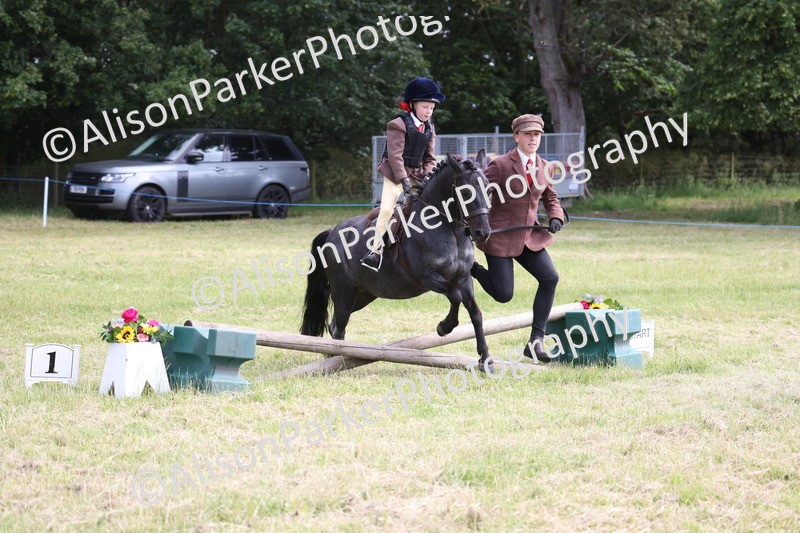 20260614-0573 - Class 20 - Beginners Working Hunter Pony
