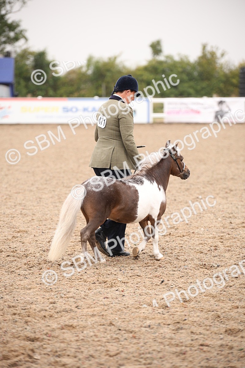 SBM_20163 - Class 703 - IH  Coloured