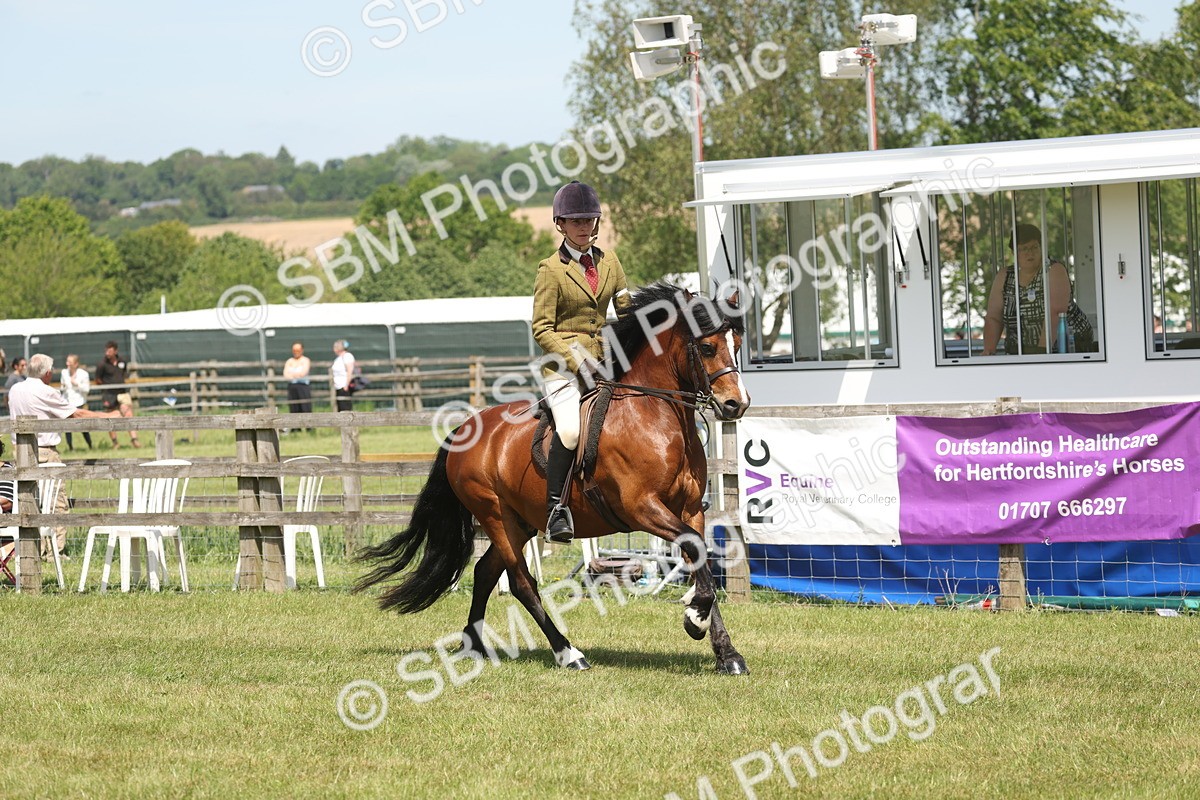 SBM_06911 - Class 26-30 - Mountain and Moorland Ridden