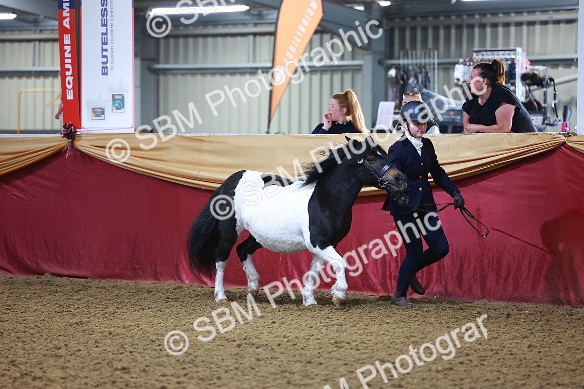 SBM_14682 - Class B - Junior Champ 11 to 16 Years