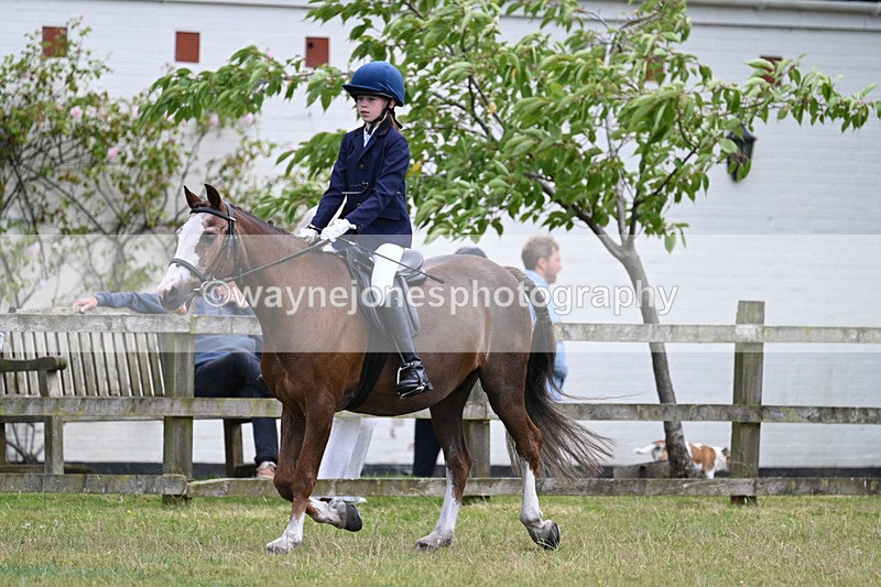 WJ7_9156 - Class 8 Ridden Veterans