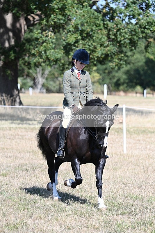 WJ7_3674 - Class 9 Mountain & Moorland Ridden