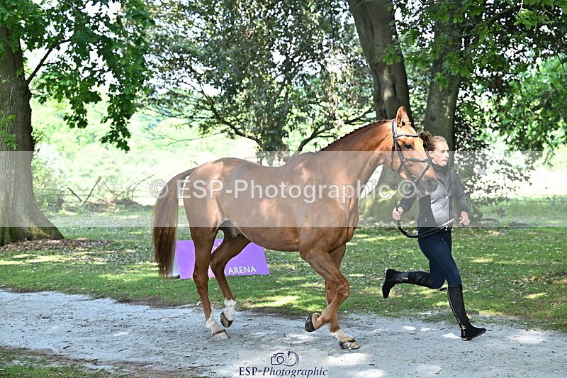 250521A-154444-00729 - B-360-Lucy.K.Wheeler-KING.CREOLE.VD.N.RANCH