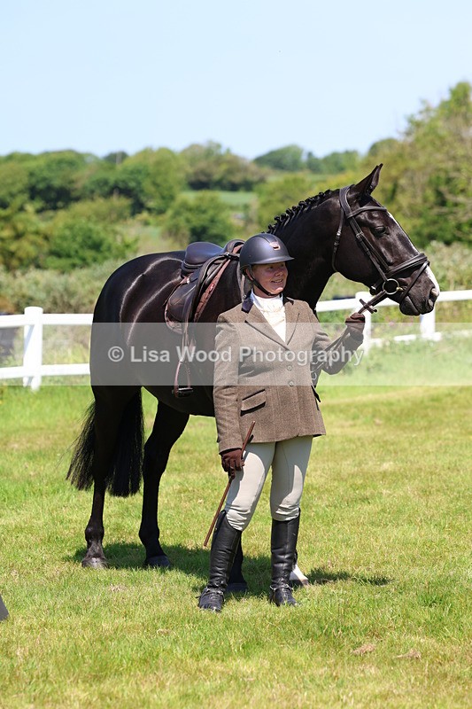 3E7A7384 - Class 30: Novice Working Hunter
