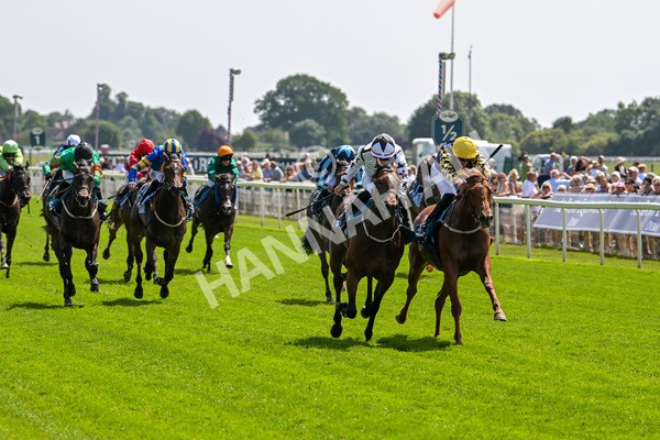 130625-Race 2-Carnation Queen-8624 - Race 2 2.25pm Coopers Marquees Rous Selling Stakes