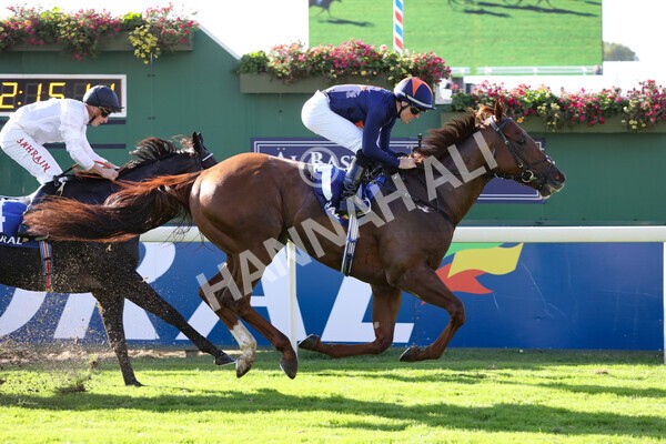 yr08102022r3-41 - Race 3 2.40pm The Coral 'Beaten-by-a-Length' Free Bet Handicap