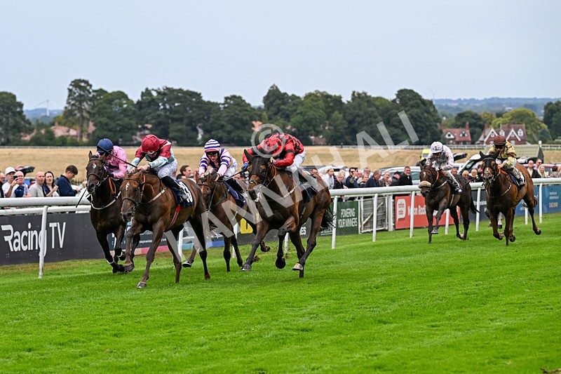 290826-Race 5-Supreme Clarets-7379 - Race 5 4.10pm Churchill Tyres Handicap