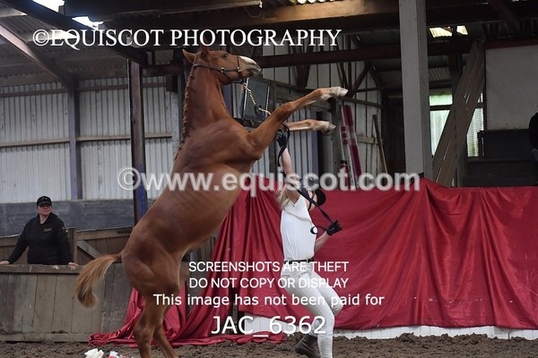 JAC_6362 - 19 Luca