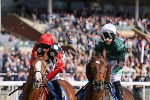 yr12052022r7-17 - Race 7 5.15pm Fidomoney Stakes