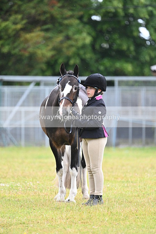 WJ7_5884 - Class 4 Prettiest Mare in Hand