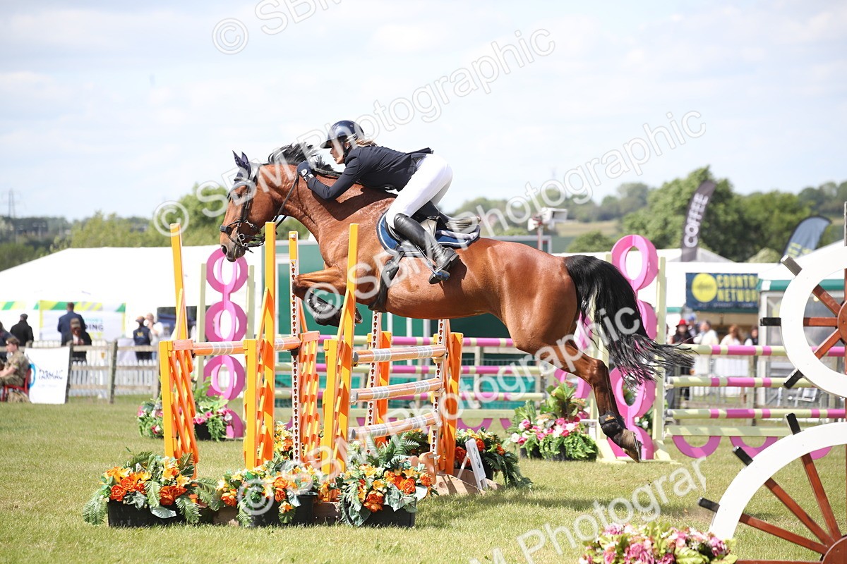 SBM_17411 - Class 208 - Senior Foxhunter 1.20m Open