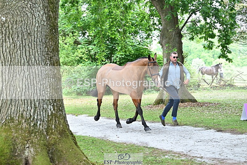 250521A-152612-00505 - B-312-Mark.Davidson-THE.BOSSMAN