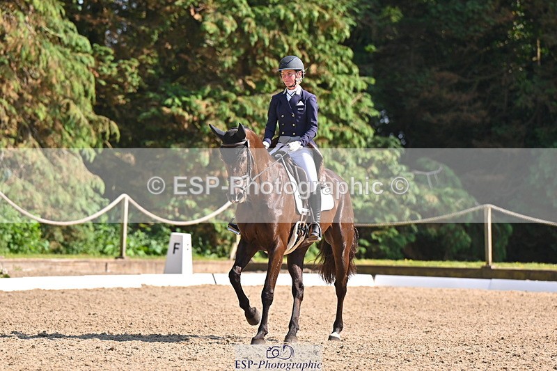 250523A-163826-08113 - B-379-Kelli.Frewin-HIDDEN.GOLD