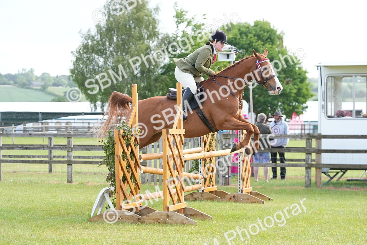 SBM_10476 - Class 97-98 - LIHS BSHA Rising Star Working Show Horse Hunter