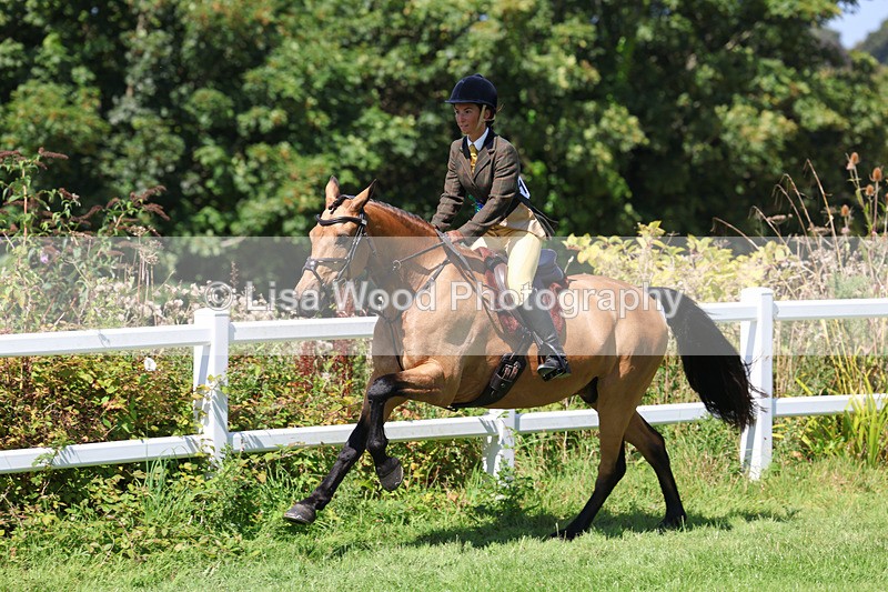 3E7A9225 - Working Hunter Championship