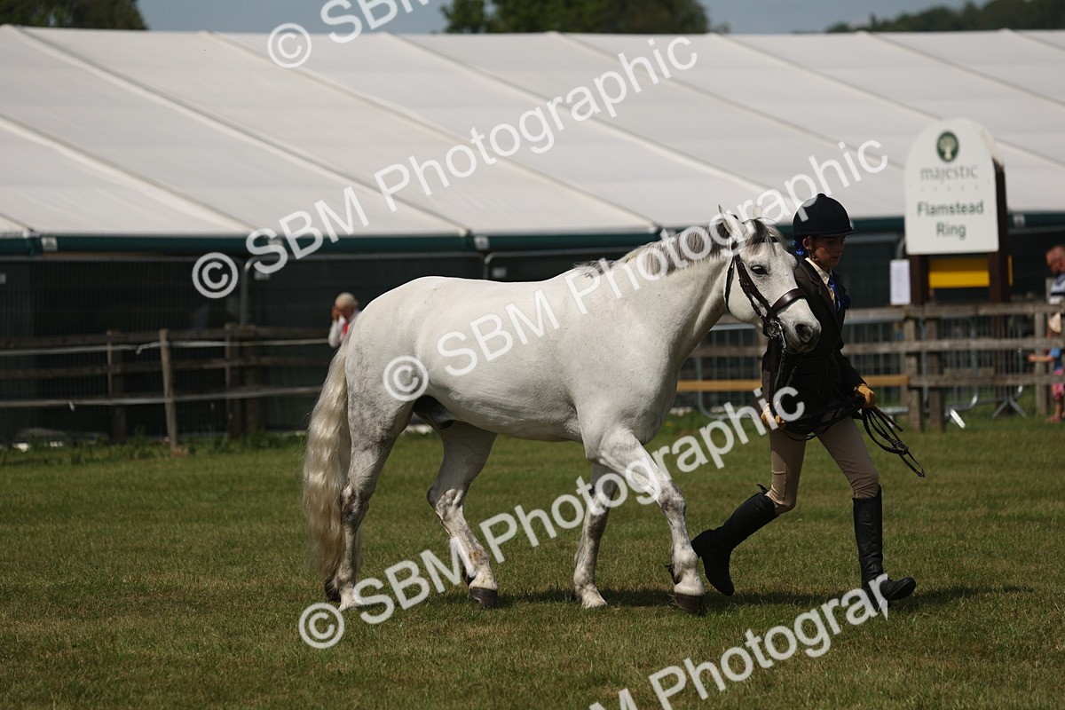 SBM_07623 - Class 26-30 - Mountain and Moorland Ridden