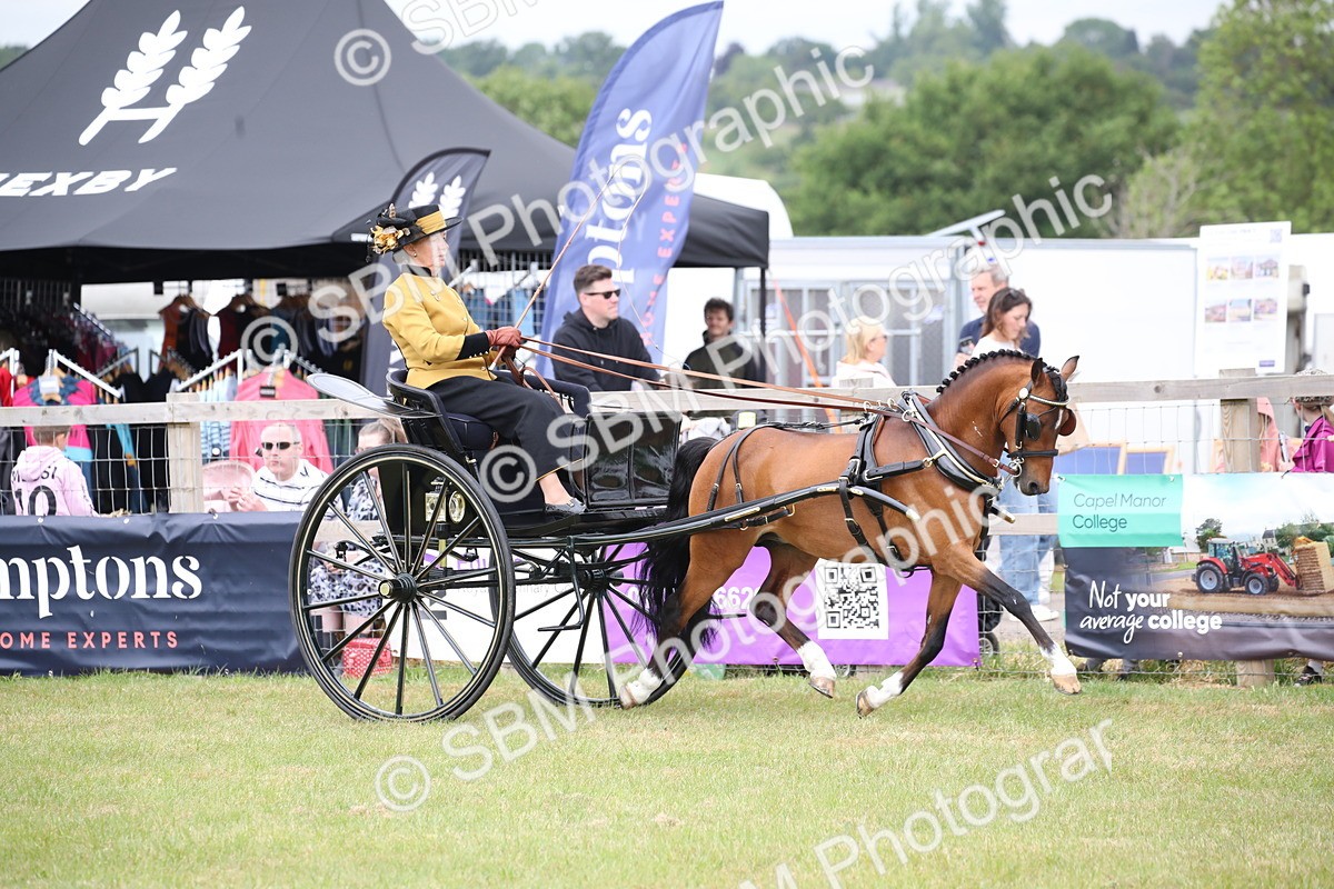 SBM_05909 - Class 12-15 - HOYS Private Driving