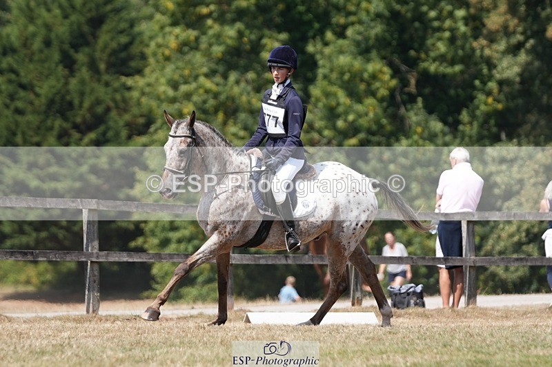 250823A-131328-31153 - Arena A