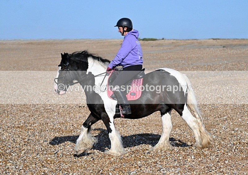 WJ7_2712 - Kellie & Churchill ... do Hayling Island 25-08-24