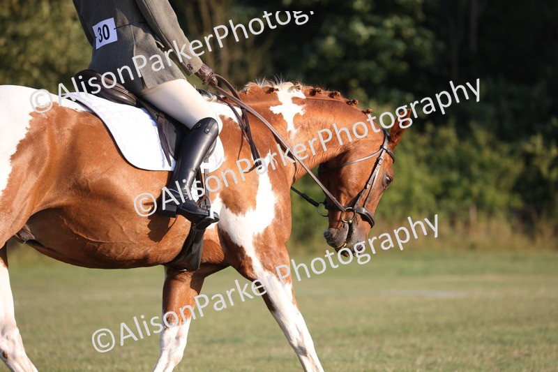 20250731-0369 - Class 3 - Novice 3