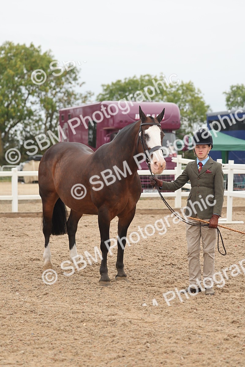 SBM_00578 - Class 13 Young Handler
