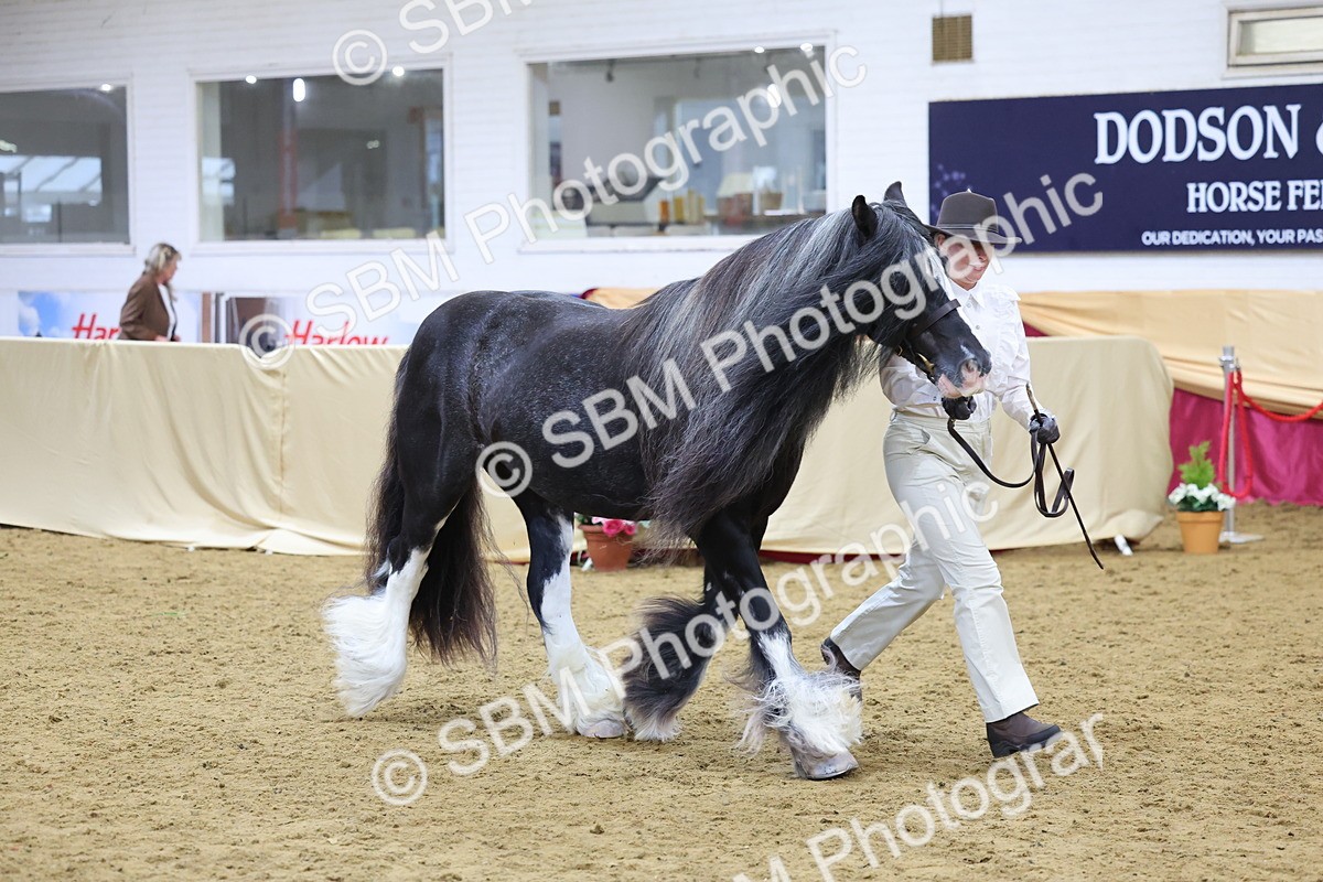 SBM_21044 - Class 902 - Supreme Final IH Veteran