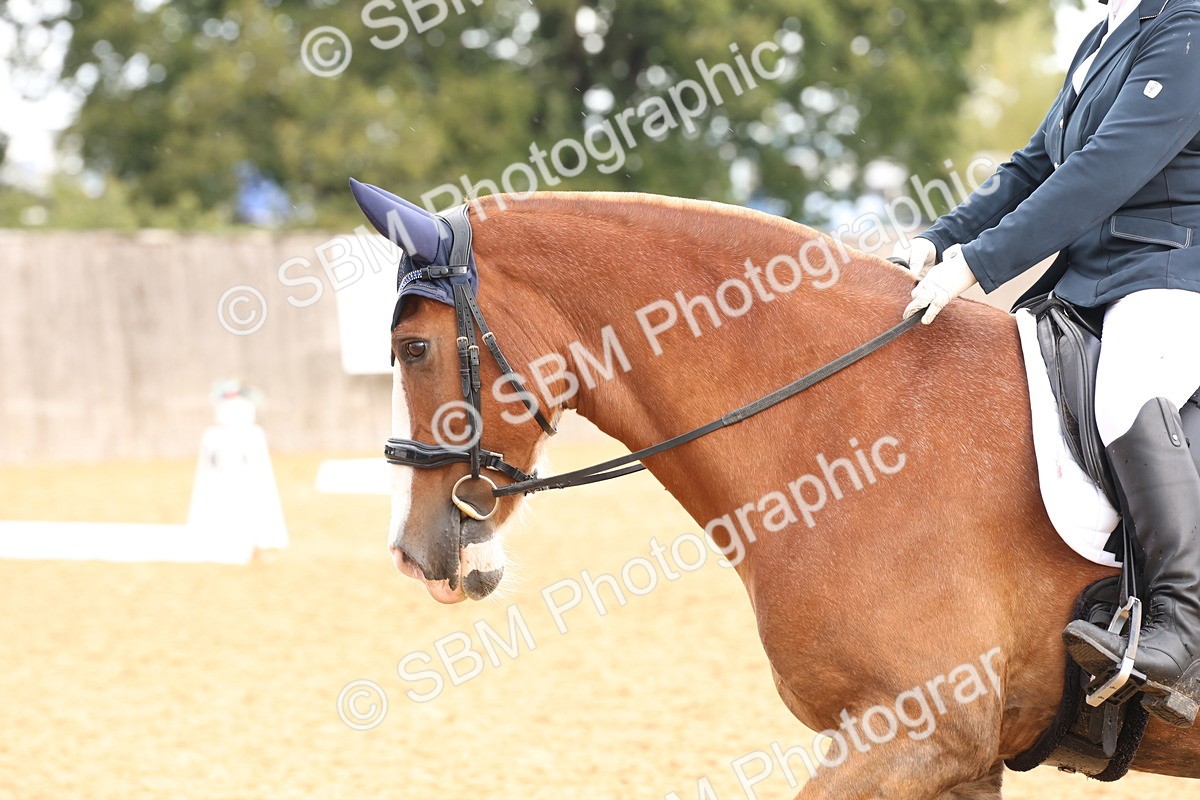 SBM_40628 - D6 - Small Tour Championship Intro 4