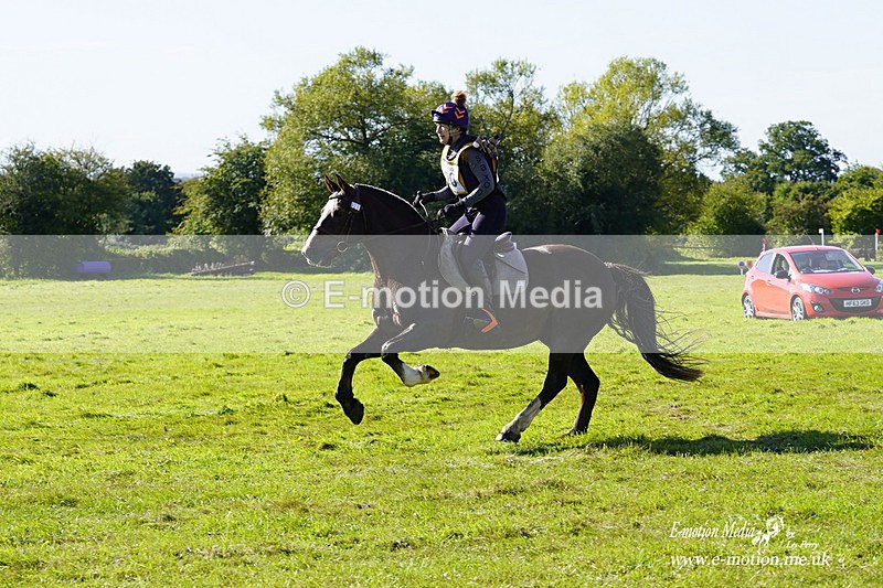  WWHT 031021 1499 - Open Novice (0.80m) 03/10/21