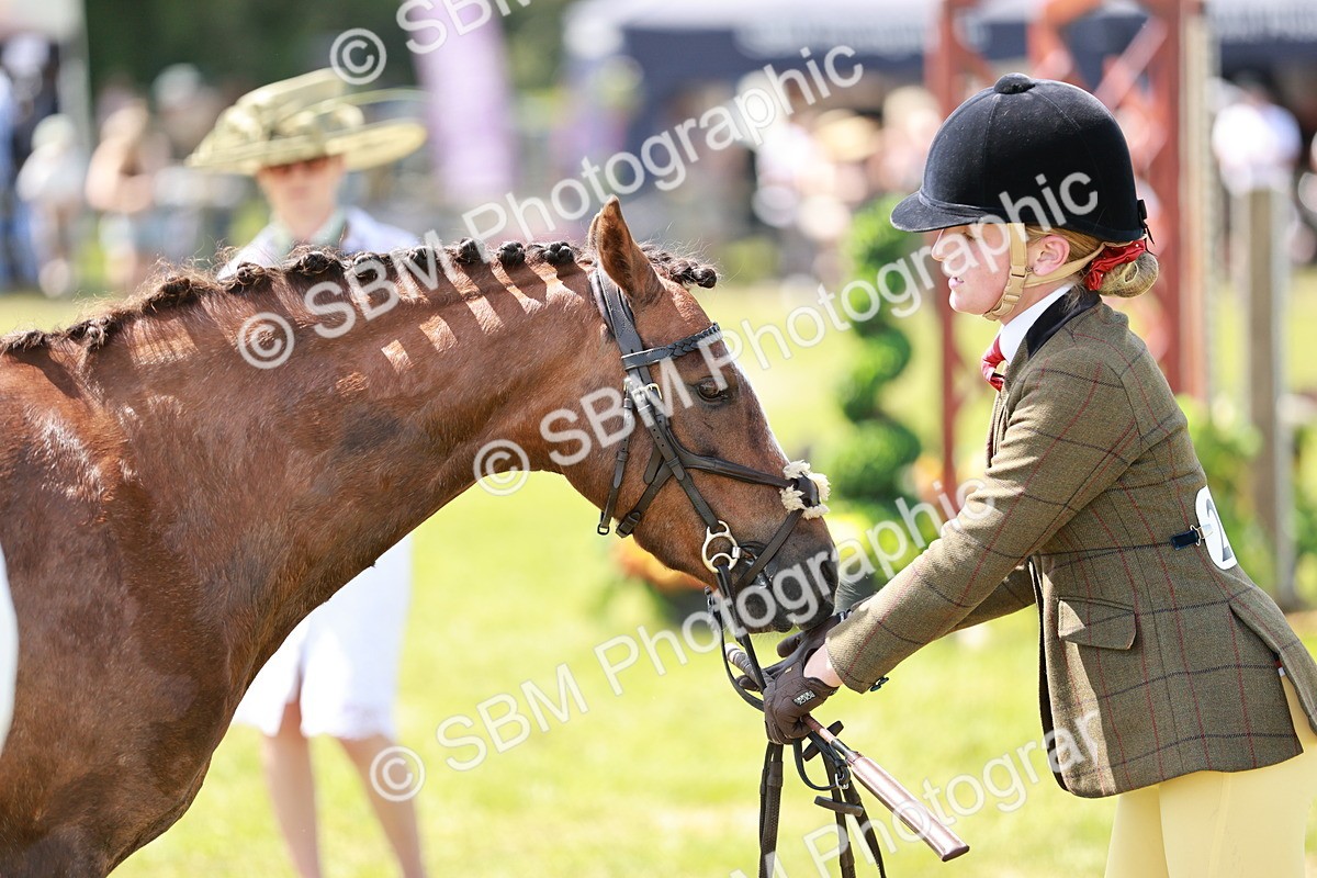 SBM_15605 - Class 108-109 - BSPS LIHS Open Gradle & Nursery Stakes