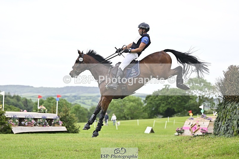 240525-161327-17008 - 231-DHI_ROCK_DANCER-Roberto_Scalisi