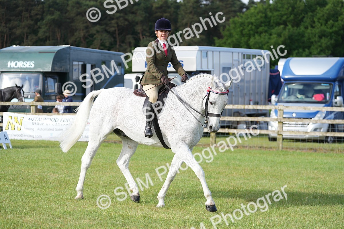 SBM_10480 - Class 97-98 - LIHS BSHA Rising Star Working Show Horse Hunter