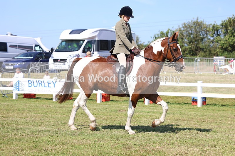3E7A6314 - Class 4: Rising Star M/H Hunter