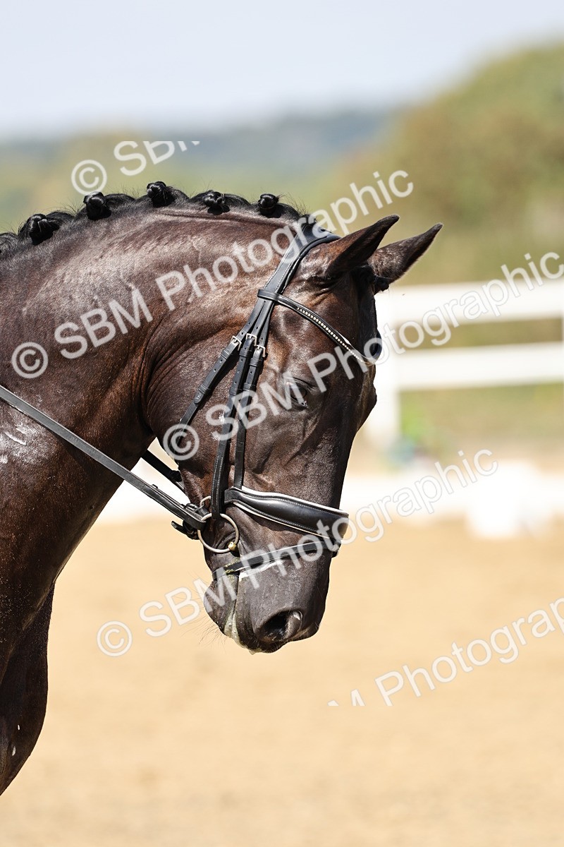 SBM_018625 - Class 16 - Novice 5 - 12.08-13.11