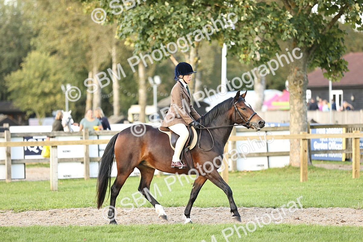 SBM_29547 - S7 - Novice & Newcomers Ridden Pony